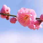 回答例 2017/02問題